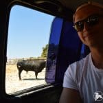 Bullfight Tour