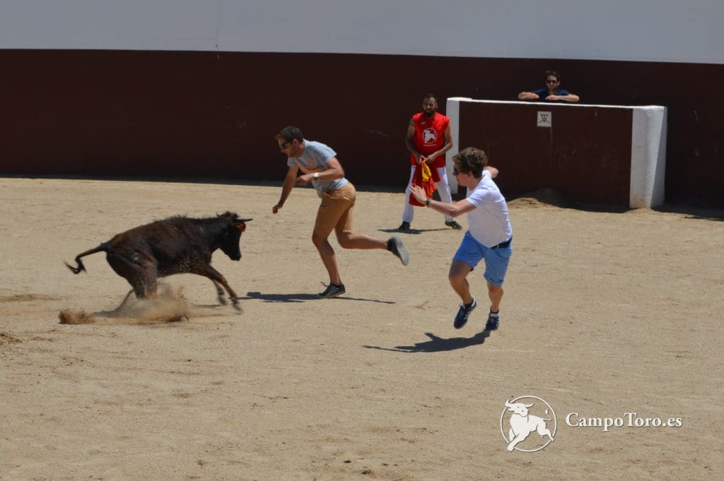 Madrid baby bull running