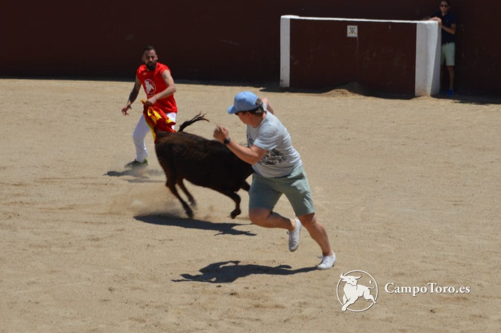 Best Madrid Bullfight familiar Tour