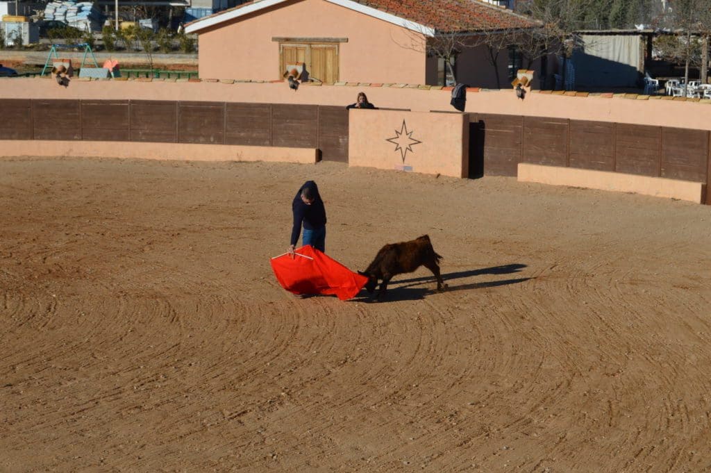 Madrid Bullfighting