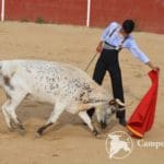 Bullfighting Experience Madrid