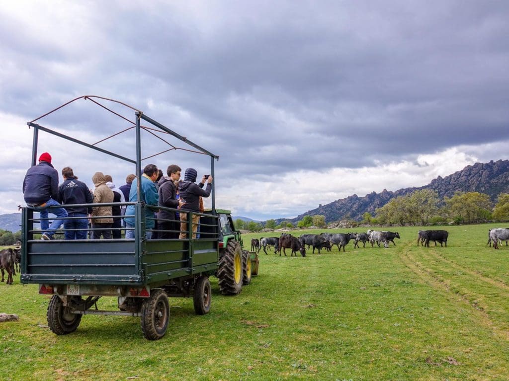 Madrid Team Building Ranch visit