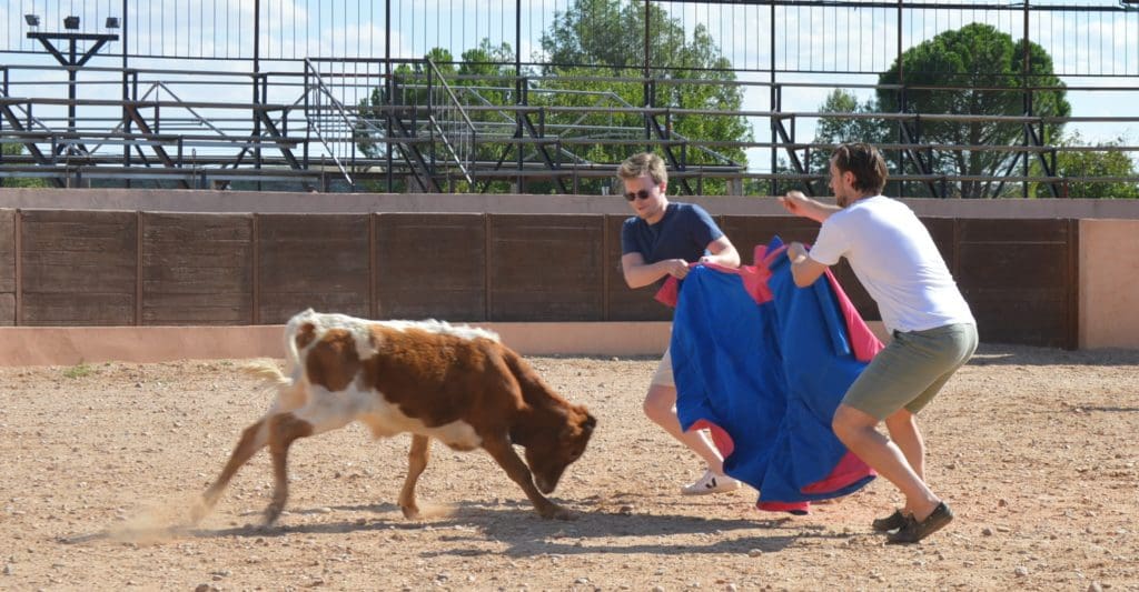 Play with bulls Madrid