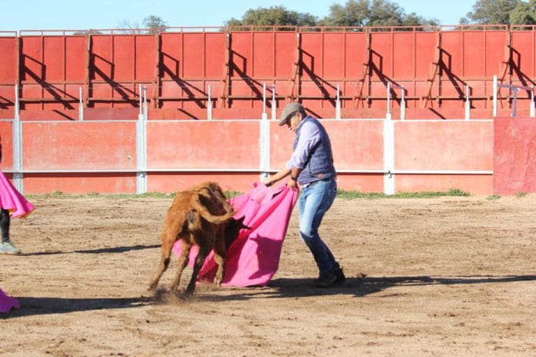 Visita con Tentadero de un toro