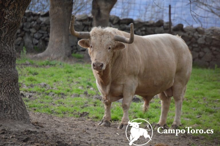 Galería de la visita ganadera de Abril.