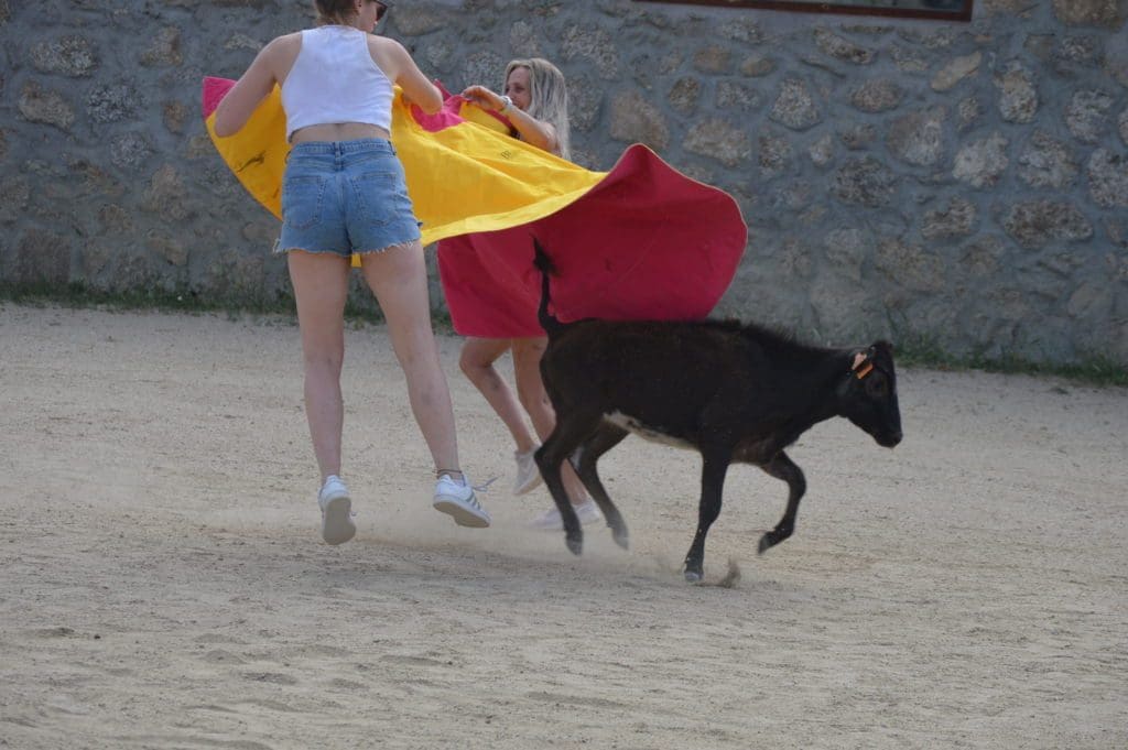 Girls Bullfighting