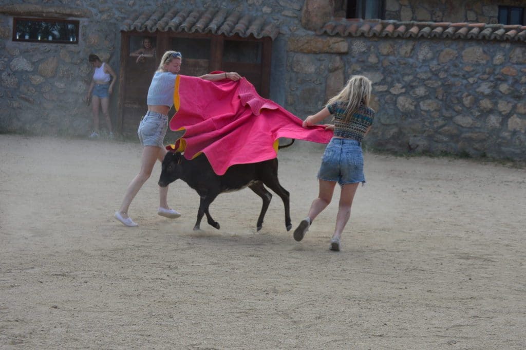 Bull for girls Madrid