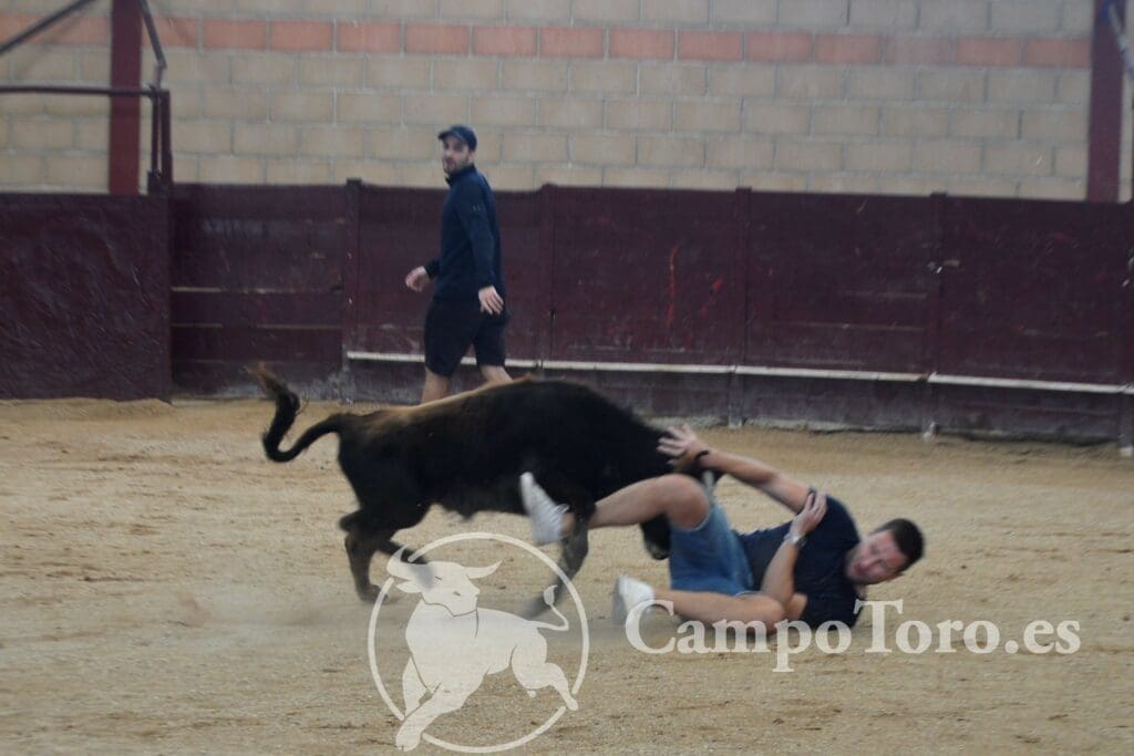 Enterrement de vie de garçon à Madrid