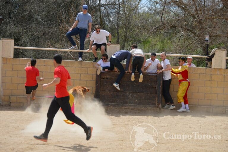 Bullfighting events Madrid