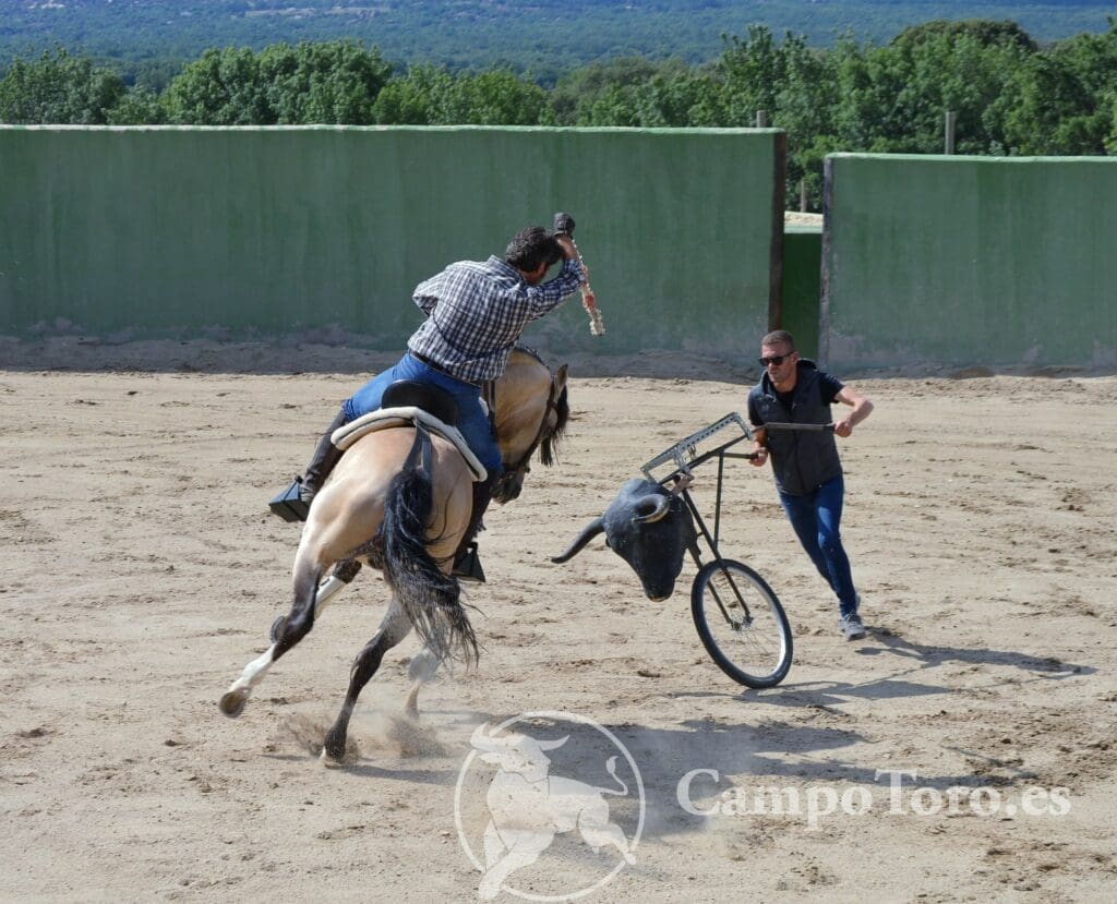 Ridding horses Madrid