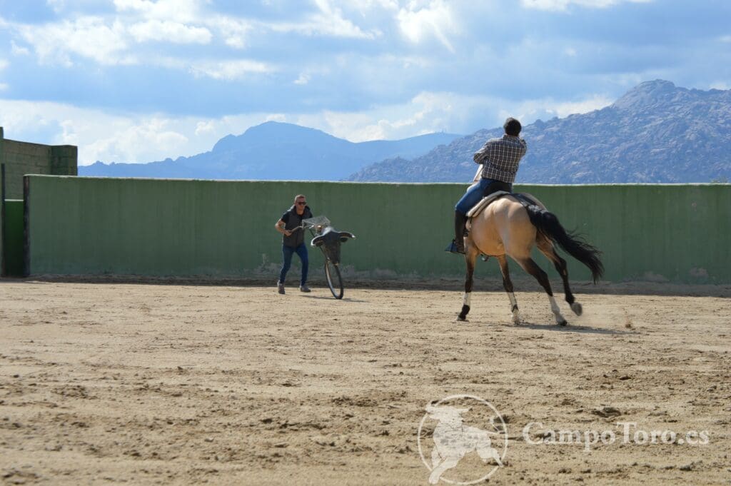 Horse trainning Madrid