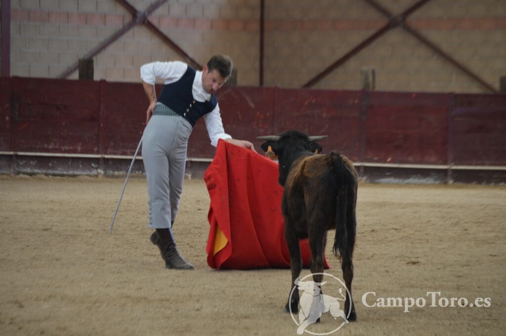 Bullfighting Madrid