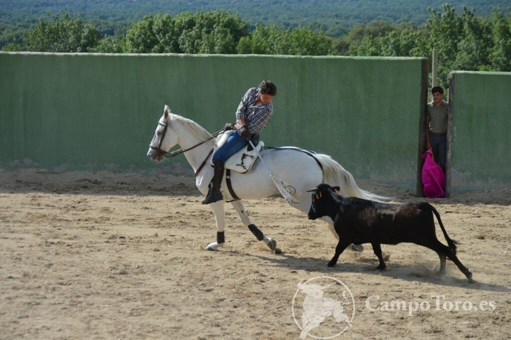 Horse farm tour Madrid