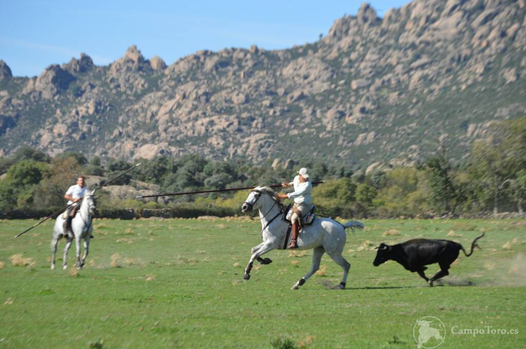 Tentadero a campo abierto Madrid