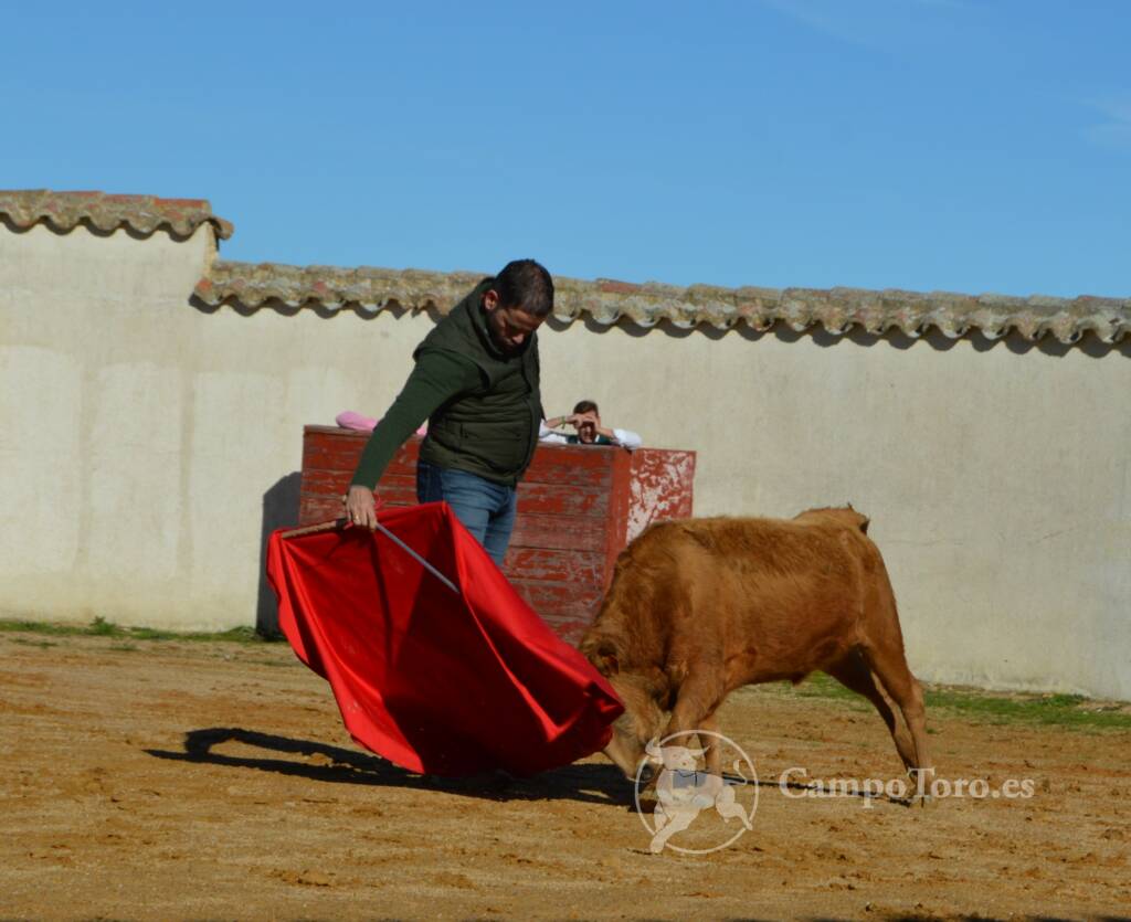 Toros Madrid