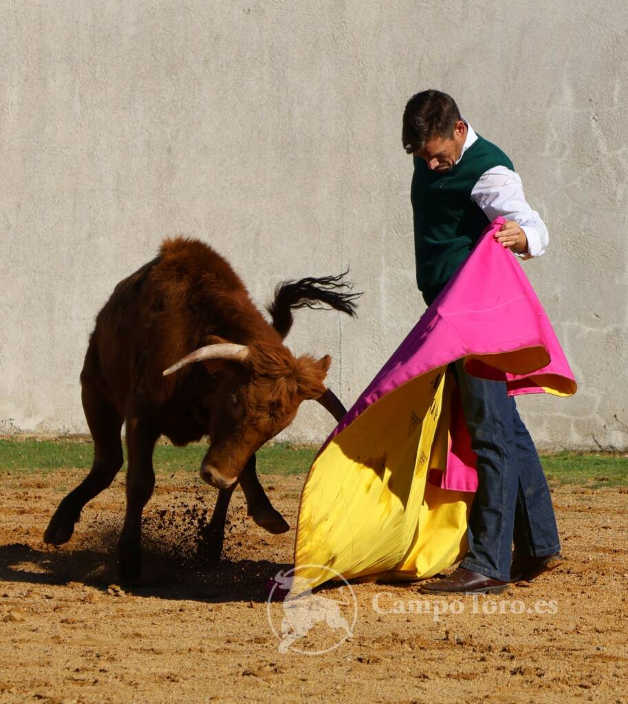 Bullfighting Madrid