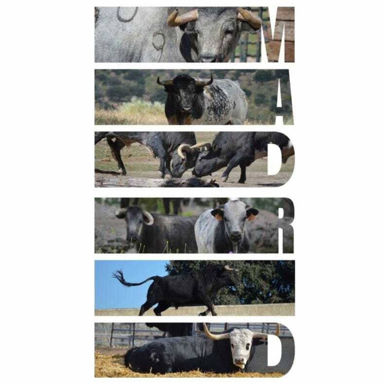 Visitas ganaderas en Madrid