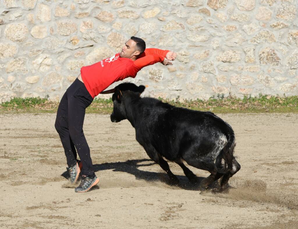 Toro recortadores