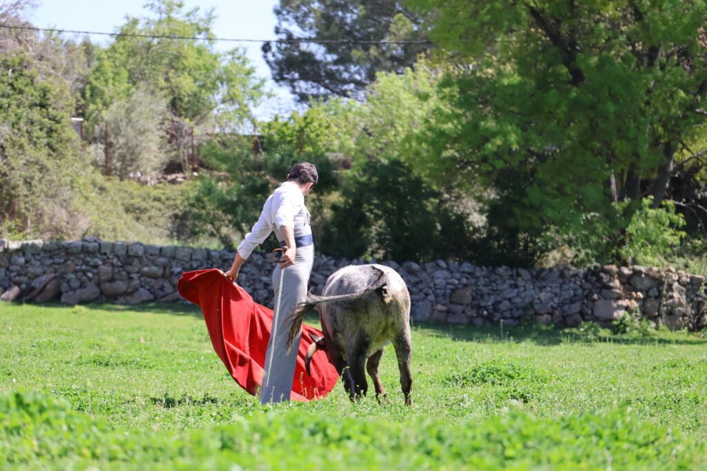 Toro Experience Madrid