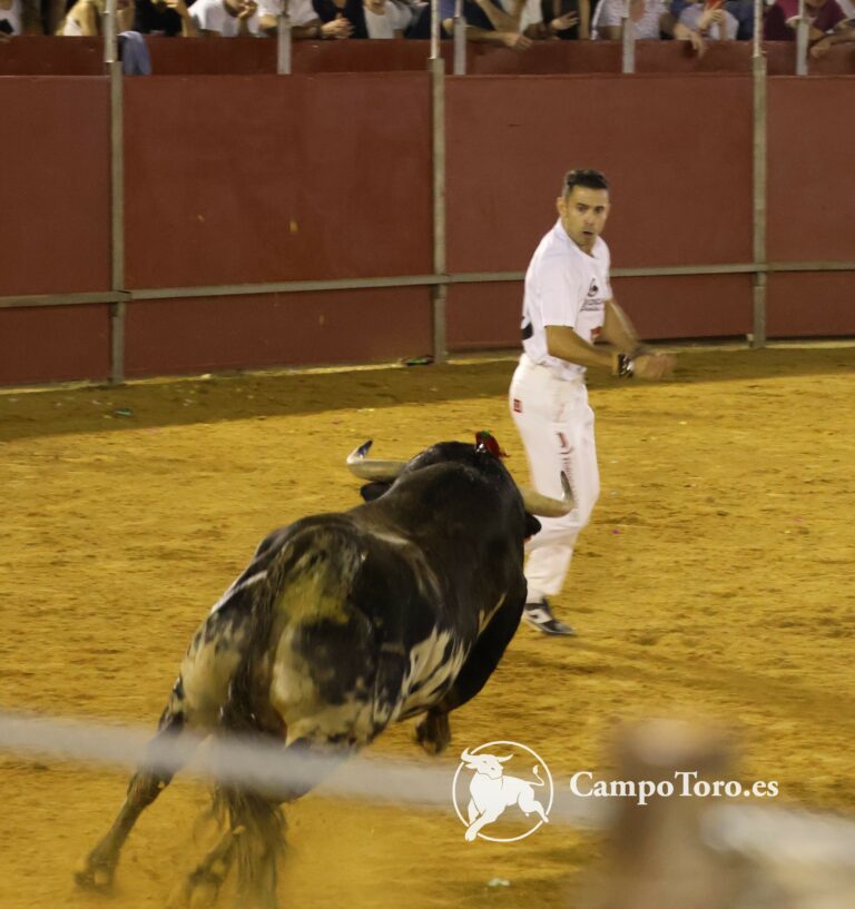 Galeria – Concurso de Recortes Perales de Tajuña 2024