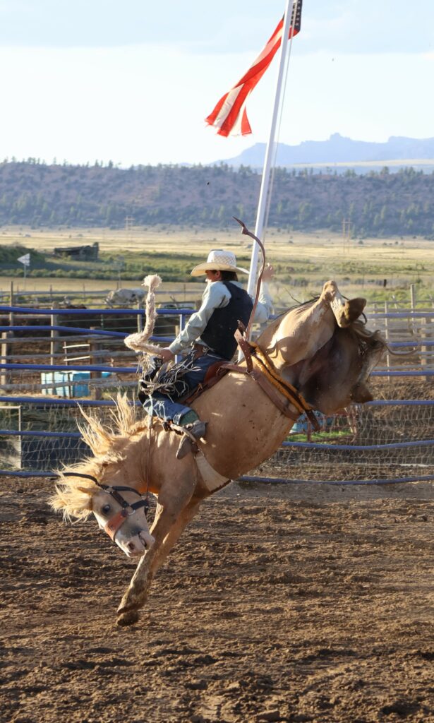 Rodeo Madrid