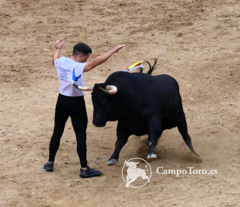 Fotos del concurso de recortes de Arganda del Rey 2024