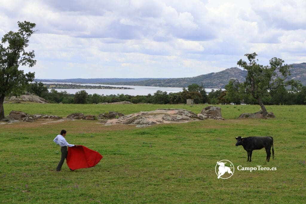 Precio visita ganaderia Madrid