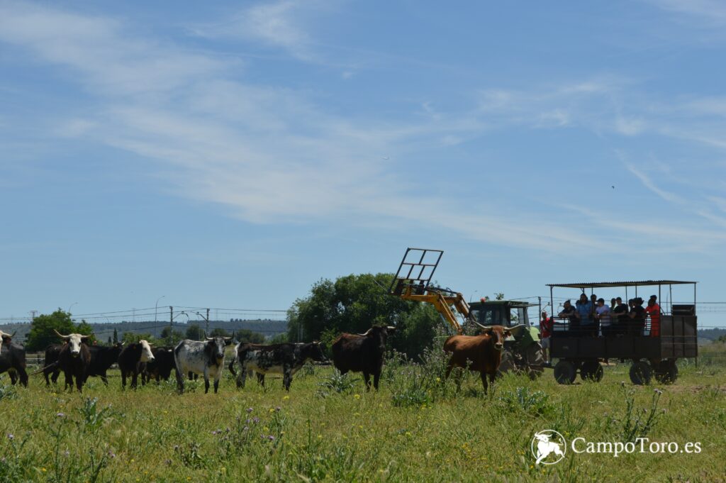 Visita caras blancas Madrid
