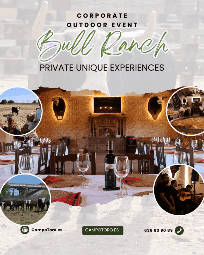 corporate team building in Madrid outdoors