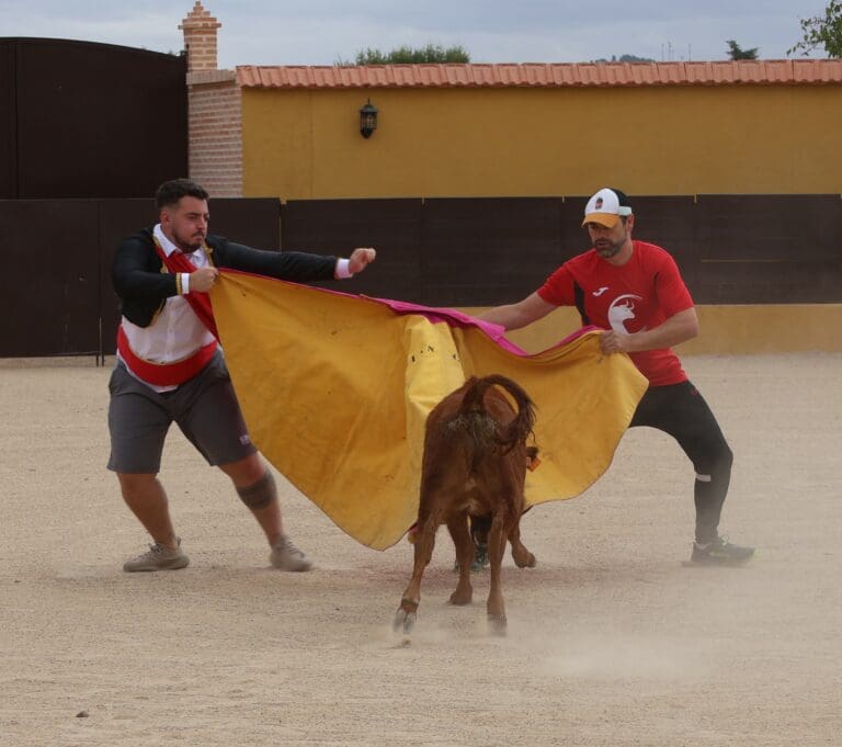 Great day with bulls in Madrid