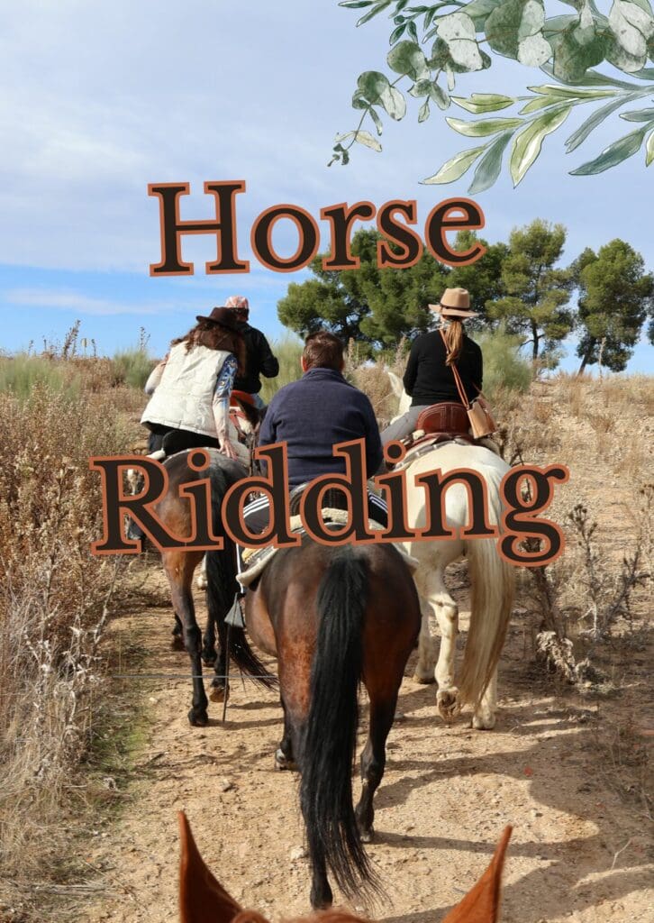 Horse Ridding stag do Madrid