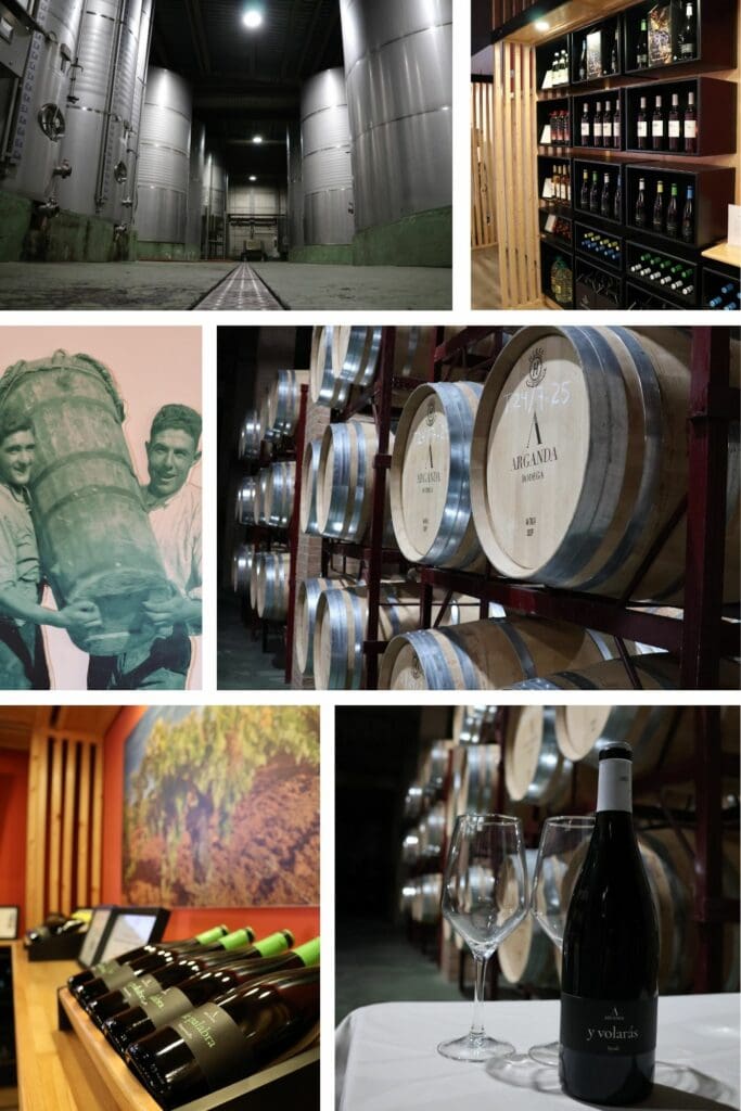 wine experience Madrid