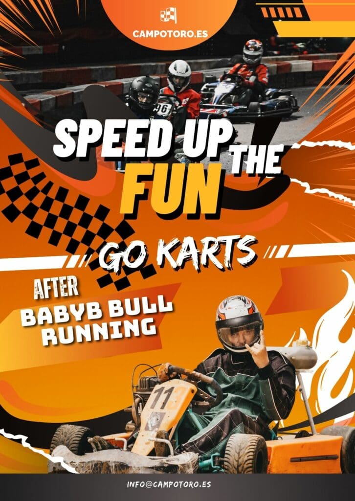 Karts Stag do Madrid