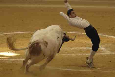 Bullfighter Madrid