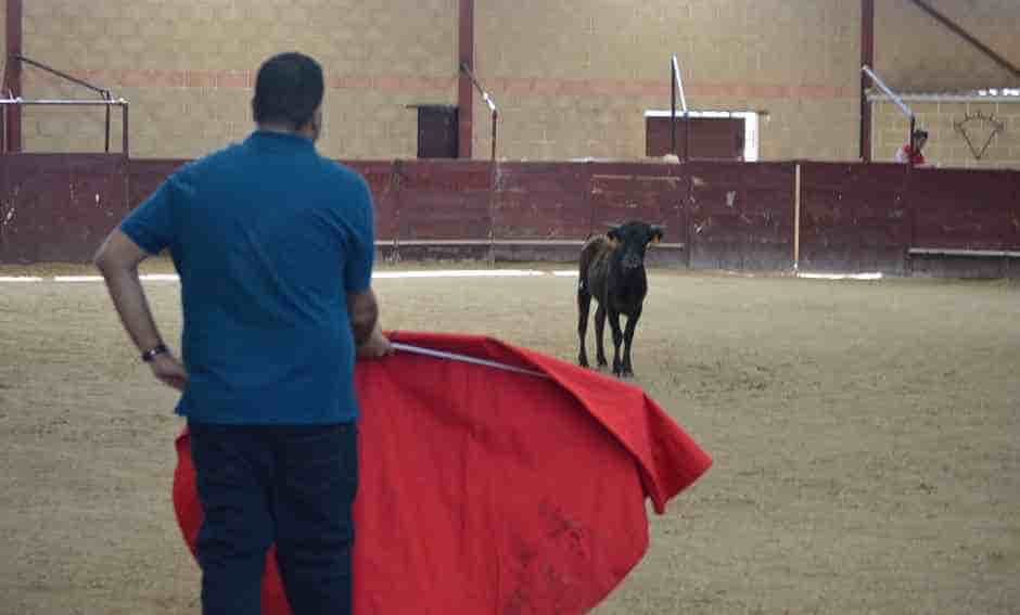 Tourists enjoying an authentic bullfighting experience in Madrid