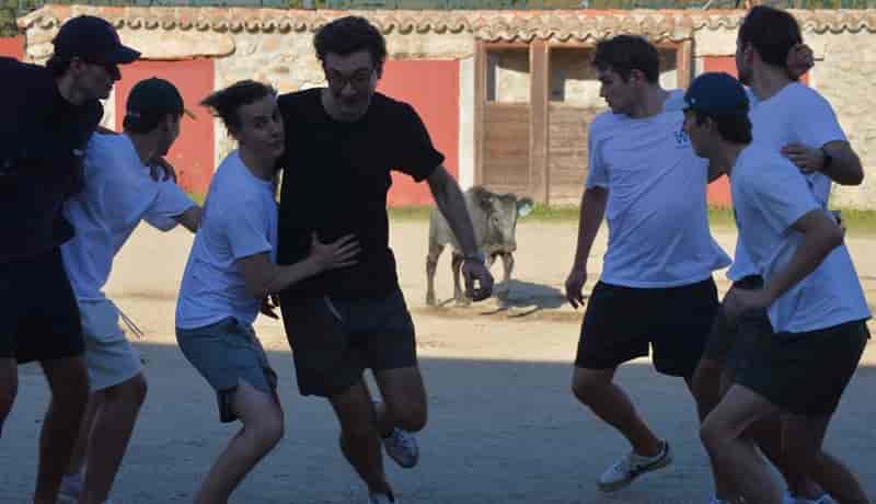 Bullfighting Madrid events